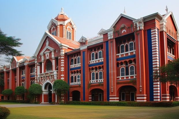 北京大学和山东石油化工学院哪个好