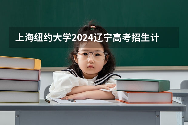 上海纽约大学2024辽宁高考招生计划详解