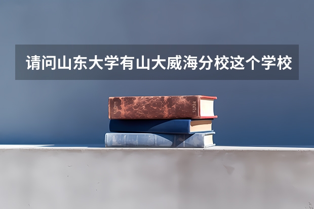 请问山东大学有山大威海分校这个学校吗？