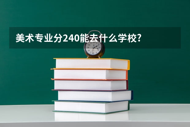 美术专业分240能去什么学校?