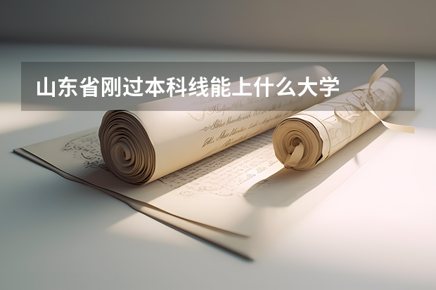 山东省刚过本科线能上什么大学