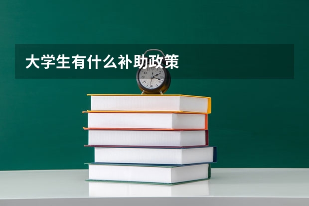 大学生有什么补助政策