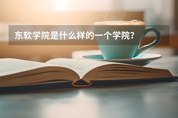 东软学院是什么样的一个学院？