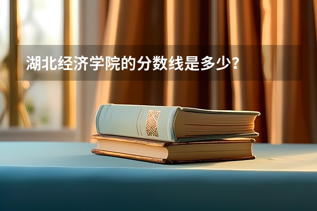 湖北经济学院的分数线是多少？