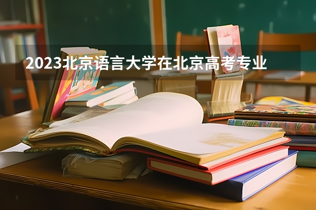 2023北京语言大学在北京高考专业招生计划人数