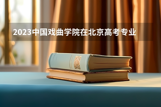 2023中国戏曲学院在北京高考专业招生计划人数