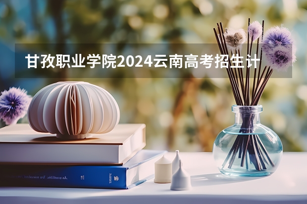 甘孜职业学院2024云南高考招生计划详解