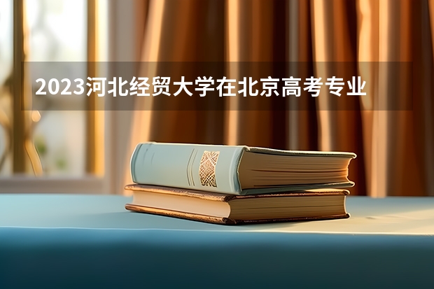 2023河北经贸大学在北京高考专业招生计划人数