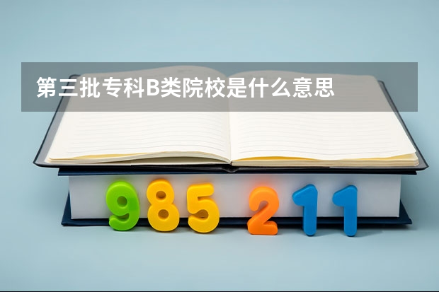 第三批专科B类院校是什么意思