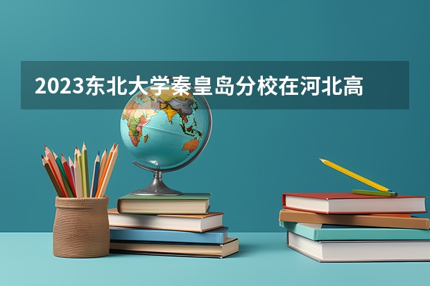 2023东北大学秦皇岛分校在河北高考专业招生计划人数