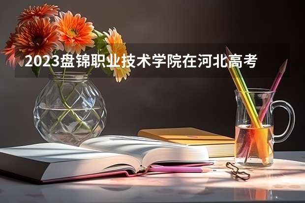 2023盘锦职业技术学院在河北高考专业招生计划人数