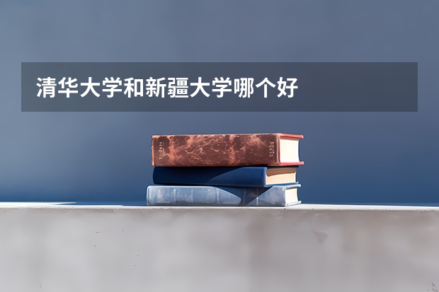 清华大学和新疆大学哪个好