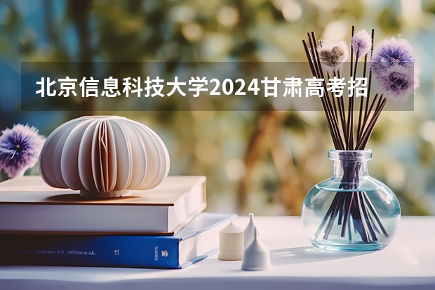 北京信息科技大学2024甘肃高考招生计划详解