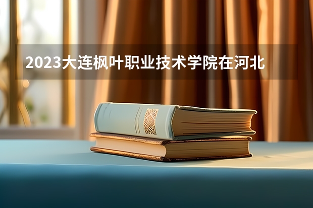 2023大连枫叶职业技术学院在河北高考专业招生计划人数