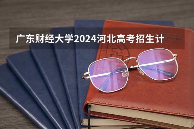 广东财经大学2024河北高考招生计划详解