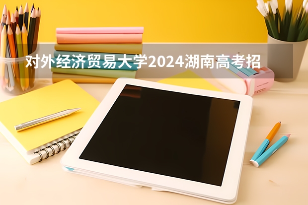 对外经济贸易大学2024湖南高考招生计划详解