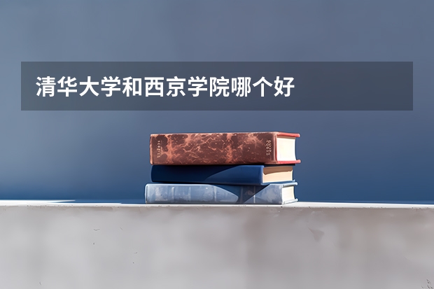 清华大学和西京学院哪个好