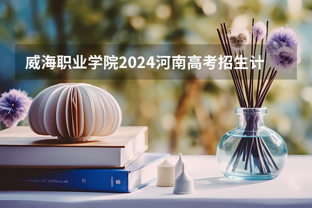 威海职业学院2024河南高考招生计划详解