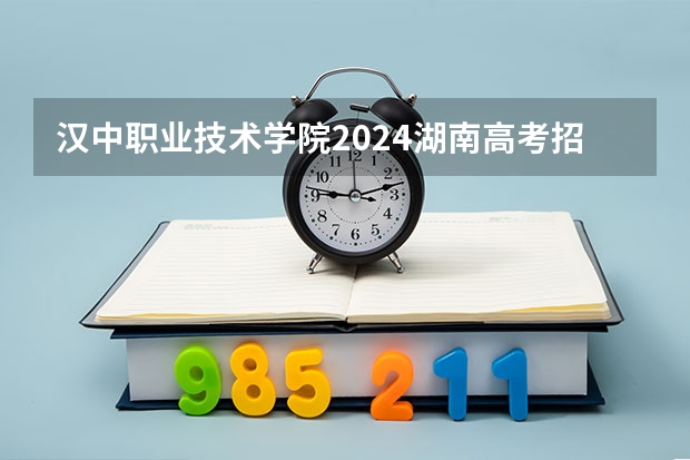 汉中职业技术学院2024湖南高考招生计划详解