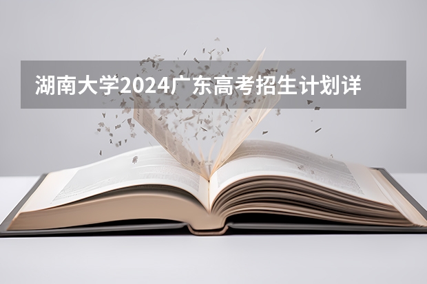 湖南大学2024广东高考招生计划详解