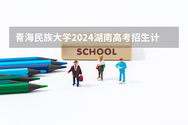 青海民族大学2024湖南高考招生计划详解