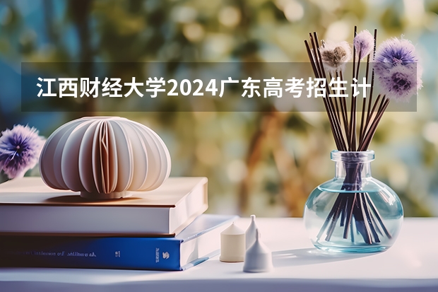 江西财经大学2024广东高考招生计划详解