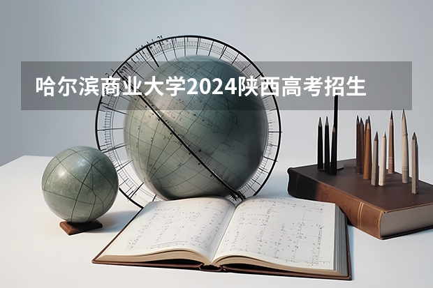 哈尔滨商业大学2024陕西高考招生计划详解