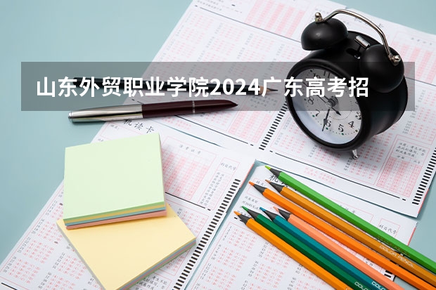 山东外贸职业学院2024广东高考招生计划详解