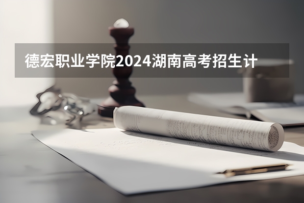 德宏职业学院2024湖南高考招生计划详解