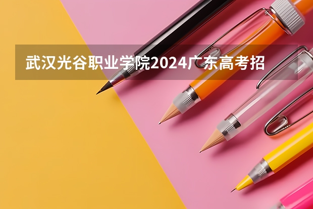 武汉光谷职业学院2024广东高考招生计划详解