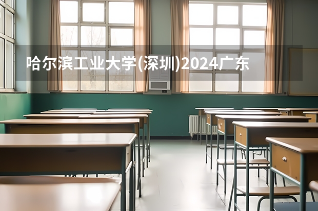 哈尔滨工业大学(深圳)2024广东高考招生计划详解