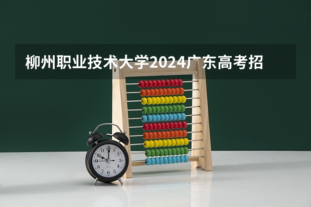 柳州职业技术大学2024广东高考招生计划详解