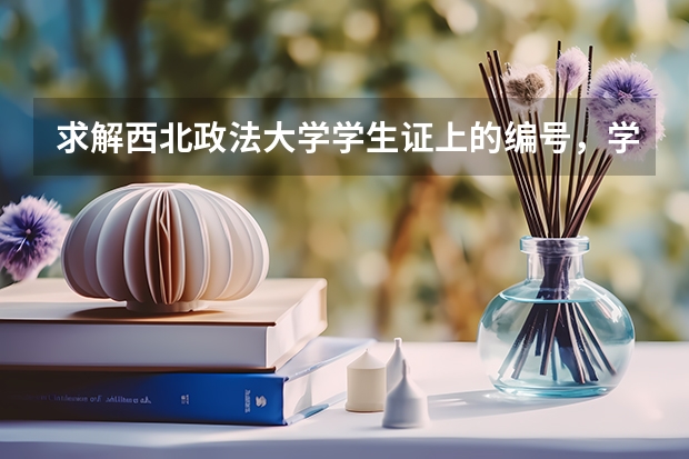 求解西北政法大学学生证上的编号，学号，以及专业怎么填写，谢谢了，以入学为例哦