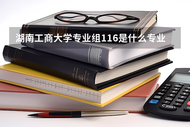 湖南工商大学专业组116是什么专业