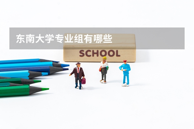 东南大学专业组有哪些