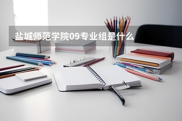 盐城师范学院09专业组是什么