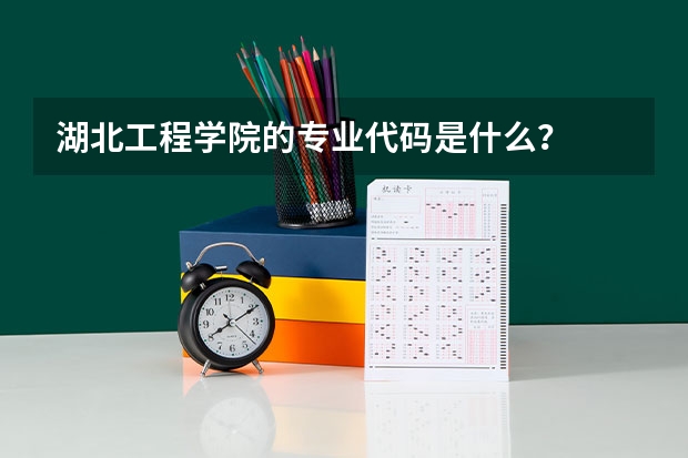 湖北工程学院的专业代码是什么？