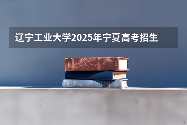 辽宁工业大学2025年宁夏高考招生计划预测