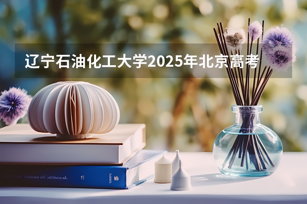 辽宁石油化工大学2025年北京高考招生计划预测