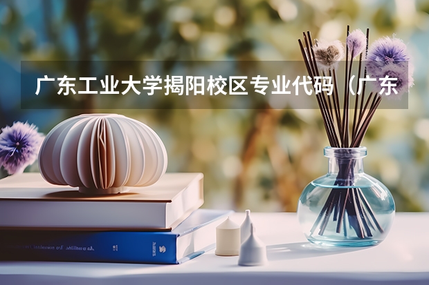 广东工业大学揭阳校区专业代码（广东工业大学录取结果）