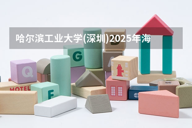 哈尔滨工业大学(深圳)2025年海南高考招生计划预测