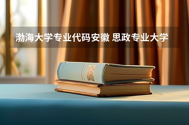 渤海大学专业代码安徽 思政专业大学排名