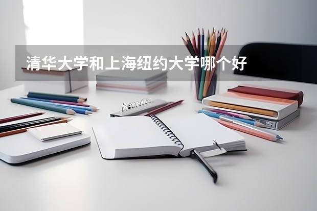 清华大学和上海纽约大学哪个好