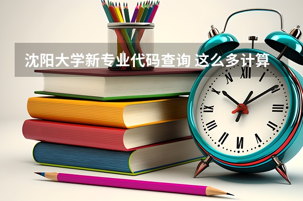 沈阳大学新专业代码查询 这么多计算机专业的比较