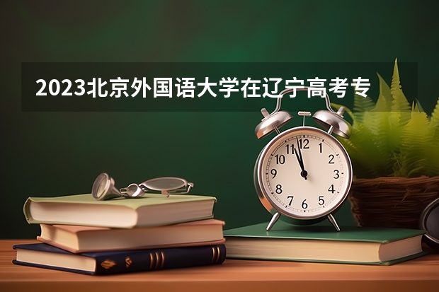 2023北京外国语大学在辽宁高考专业招生计划人数