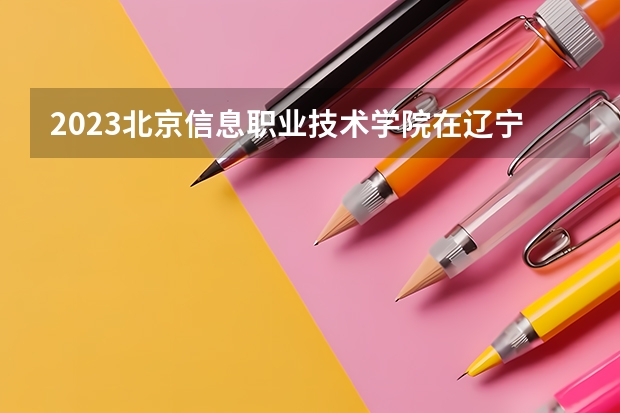 2023北京信息职业技术学院在辽宁高考专业招生计划人数