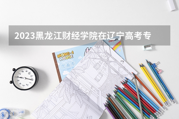 2023黑龙江财经学院在辽宁高考专业招生计划人数
