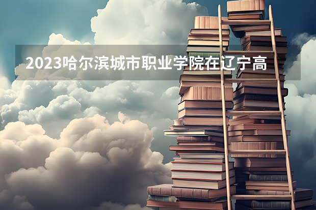 2023哈尔滨城市职业学院在辽宁高考专业招生计划人数