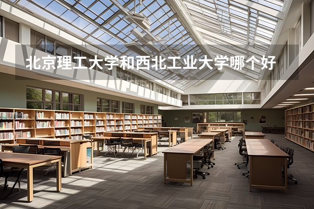 北京理工大学和西北工业大学哪个好