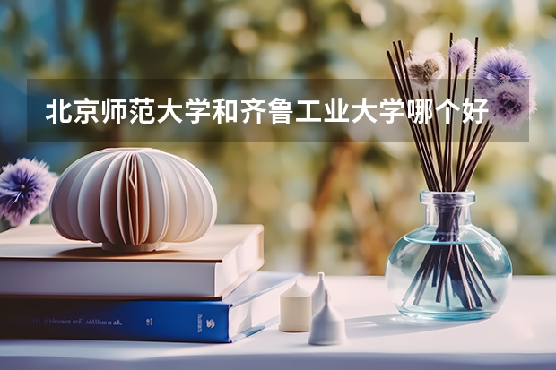 北京师范大学和齐鲁工业大学哪个好